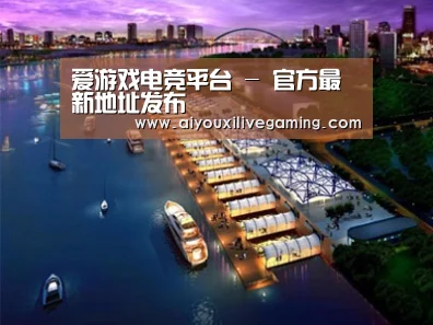 案例展示八