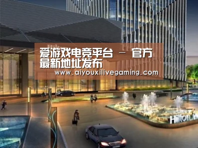案例展示二