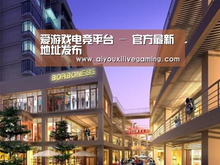 案例展示一