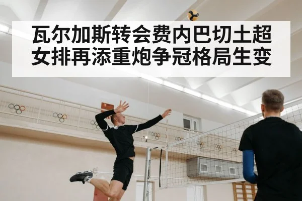 瓦尔加斯转会费内巴切土超女排再添重炮争冠格局生变
