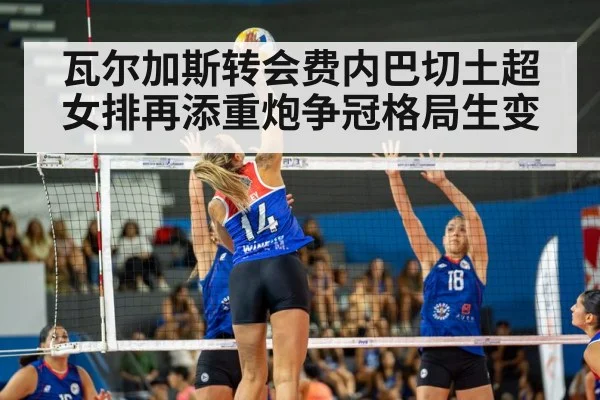 volleyball match action
